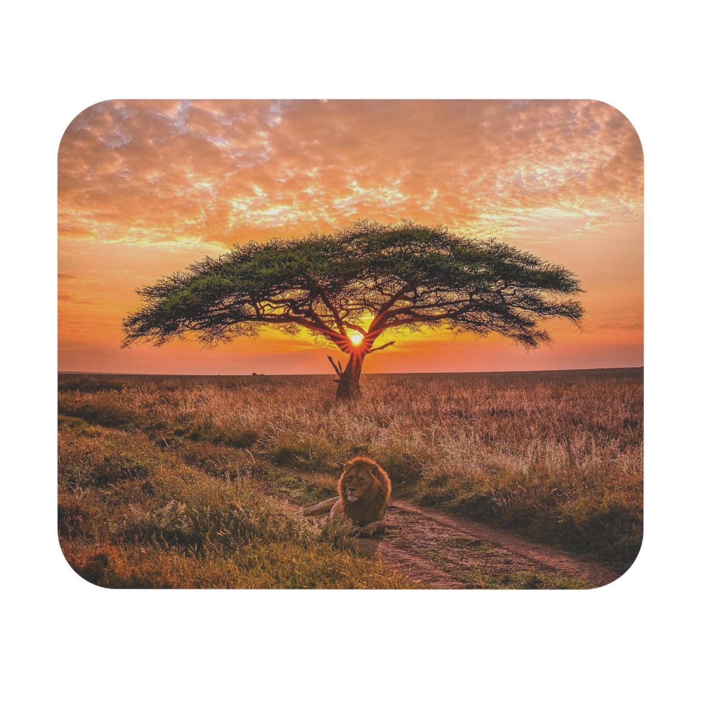 Rectangle Mouse Pad, Lion Lazing in the Bush Sunset Design - Office Desk Decor, Gaming Accessories, Animal Lover Gift, Wildlife Theme,